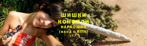 гидропоника Богданович
