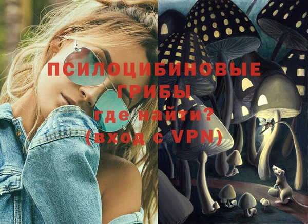 mix Богородицк