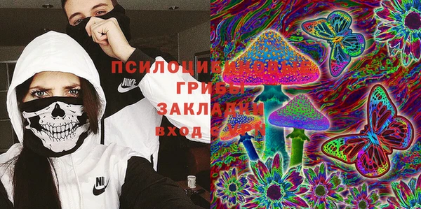 mix Богородицк