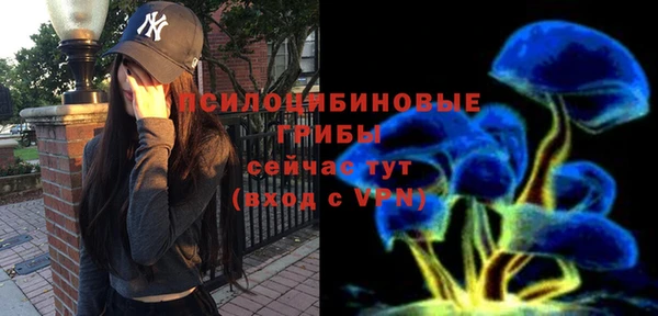 mix Богородицк