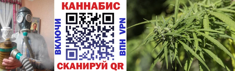 Бошки Шишки марихуана  Тотьма 